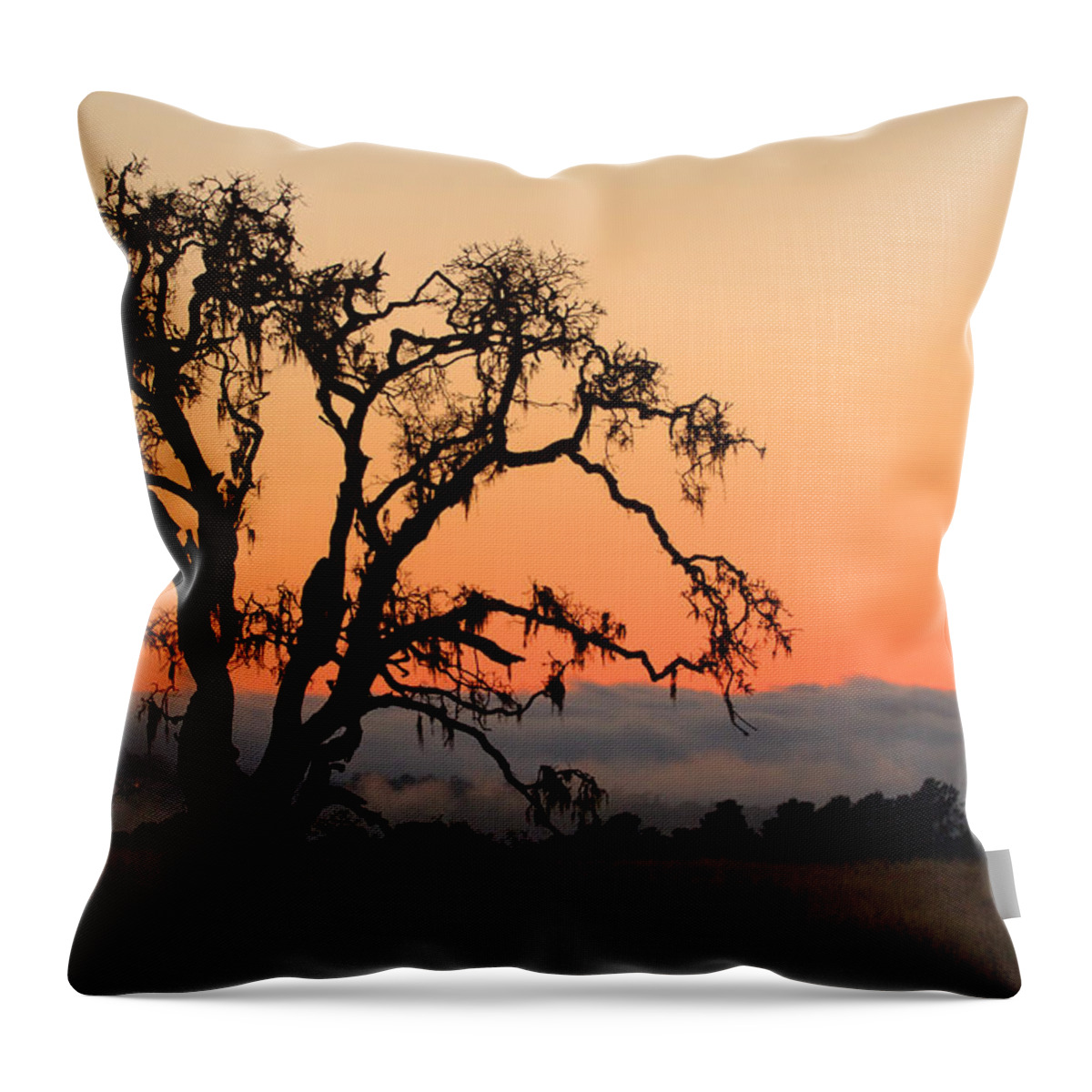 Tree Fog Landscape Weather Sunset Orange Nature Botanical Throw Pillow featuring the photograph Loan Tree Overlooking Fog by Jill Reger