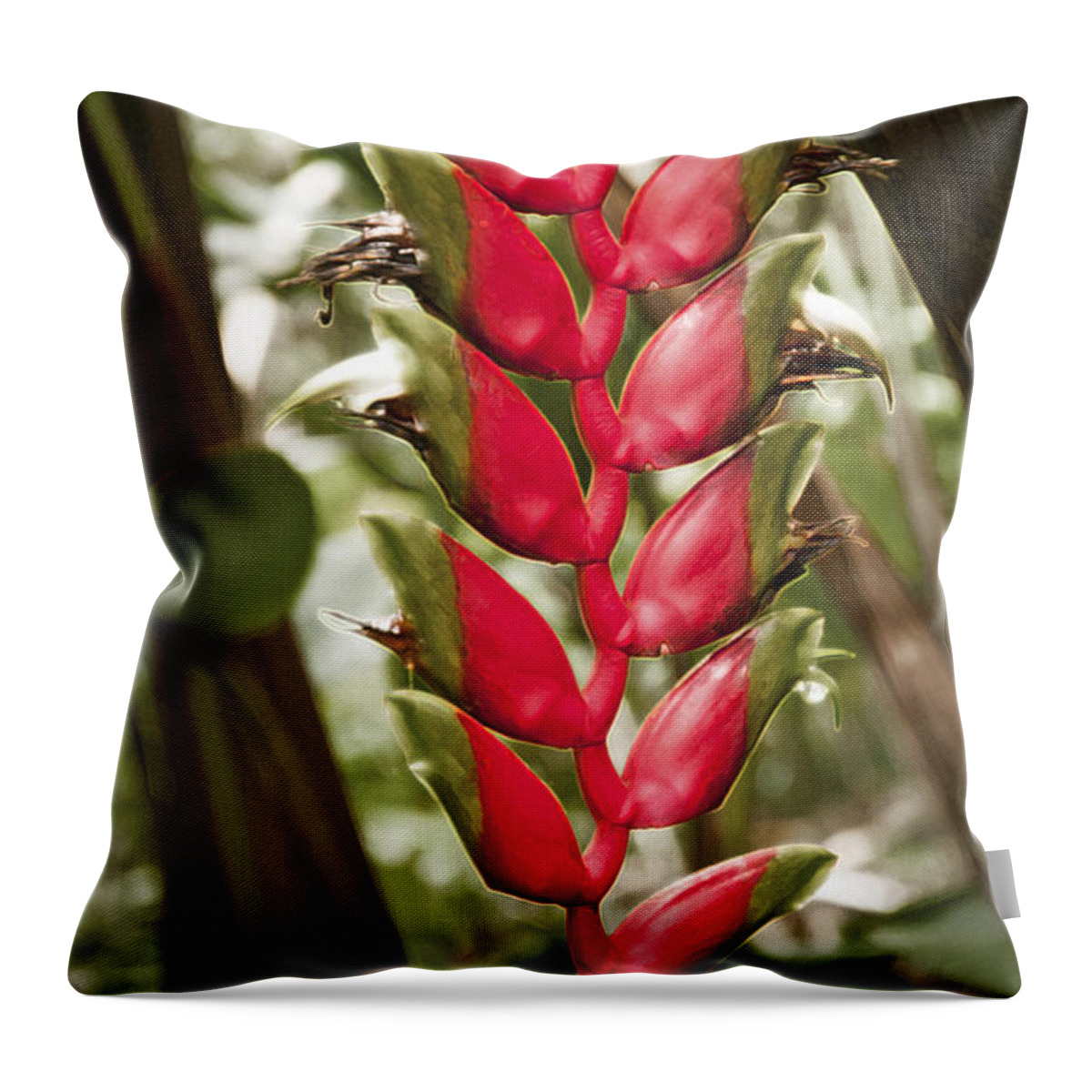 Heliconia Rostrata Throw Pillow featuring the photograph Lobster Claw by Steven Sparks