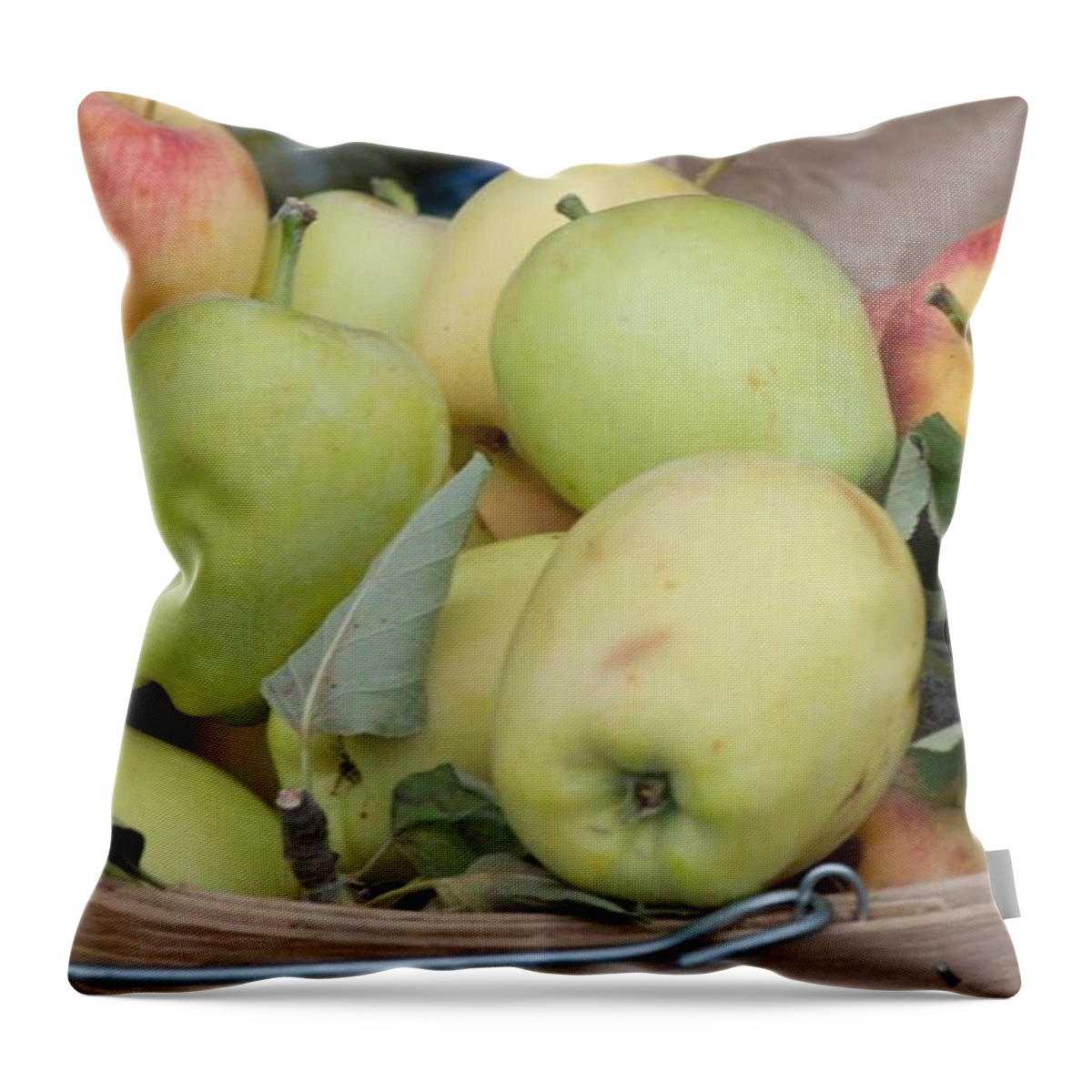 Vendor Throw Pillow featuring the photograph Locally Grown Apples by Michael Moriarty