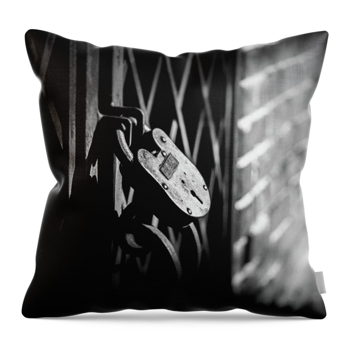 Flowery Branch Throw Pillow featuring the photograph Locked Away by Doug Camara