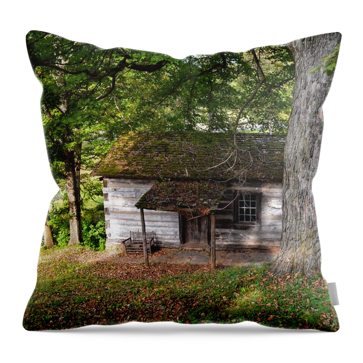 Cabin Throw Pillow featuring the photograph Log Cabin by Joseph Caban