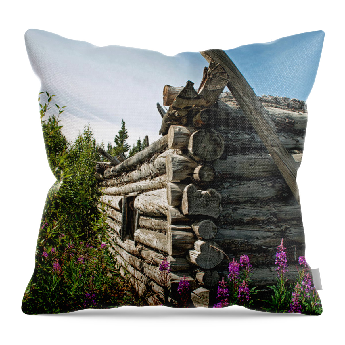 State Of Disrepair Throw Pillow featuring the photograph Log Construction by Cathy Mahnke