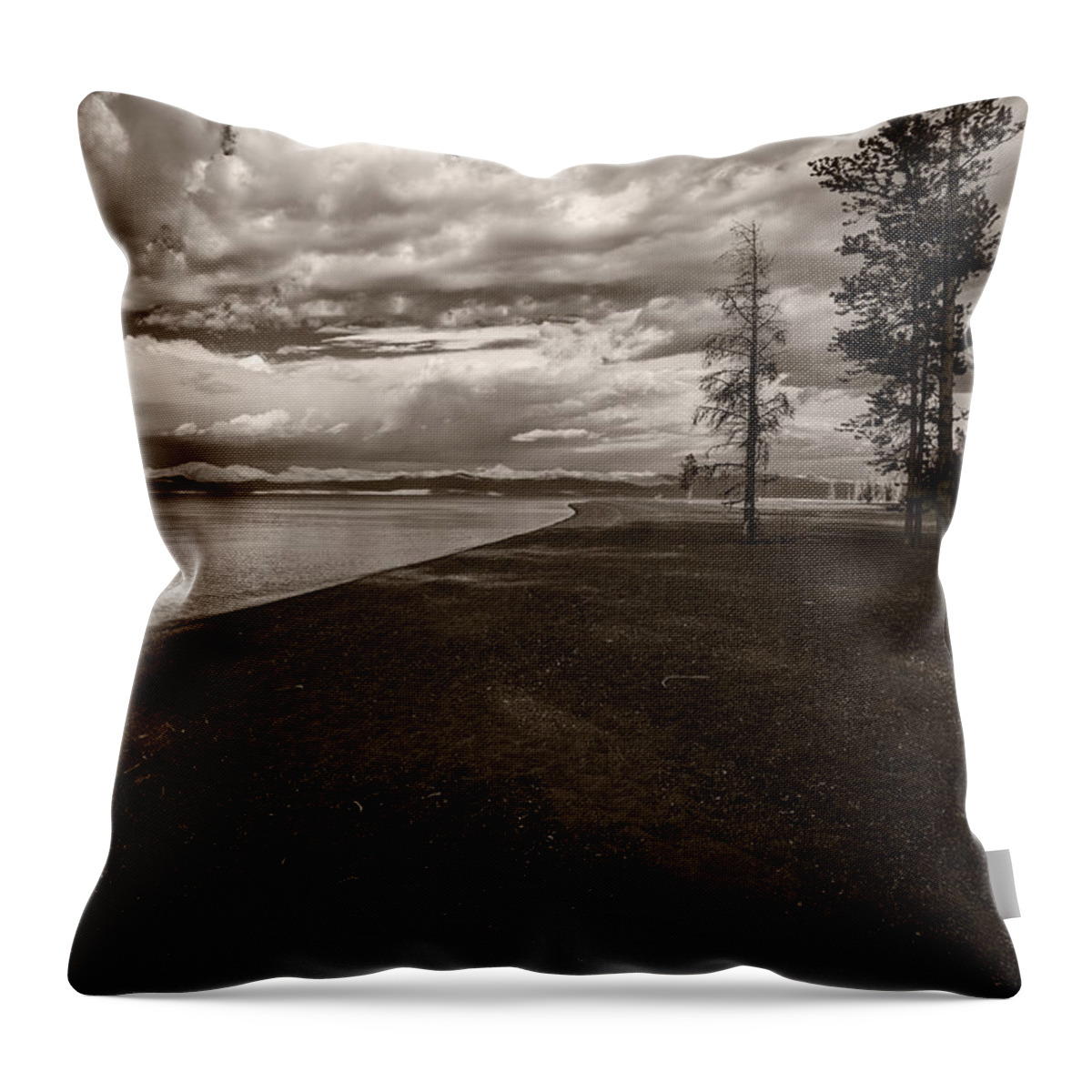 Landscape Throw Pillow featuring the photograph Log on Lake Shore by Rick Strobaugh