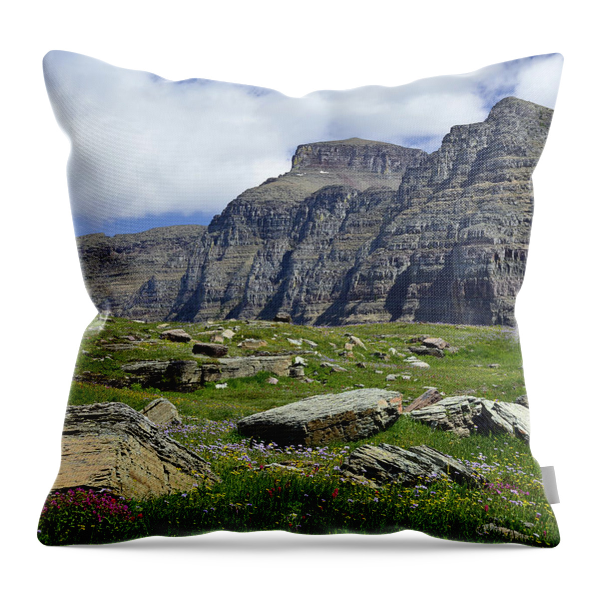 Glacier Throw Pillow featuring the photograph Logan Pass Meadow and Mountains in Glacier National Park by Bruce Gourley