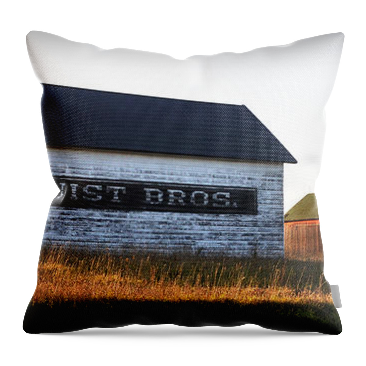 Fall Throw Pillow featuring the photograph Logerquist Bros. by Tim Nyberg