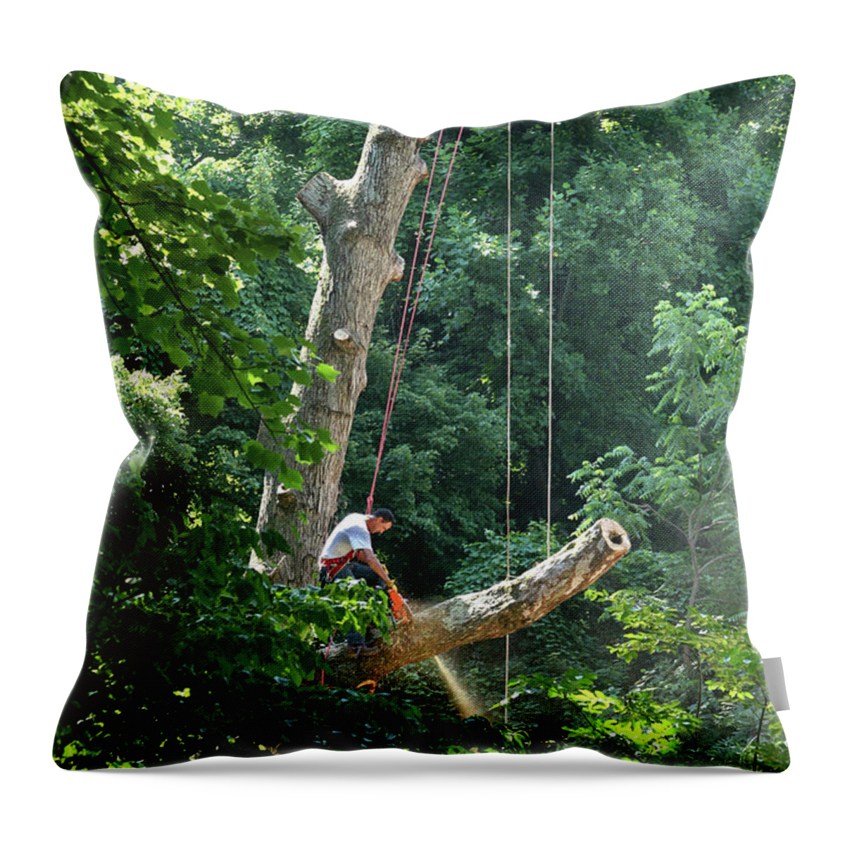 Tree Throw Pillow featuring the photograph Logger cutting down large, tall tree by Emanuel Tanjala