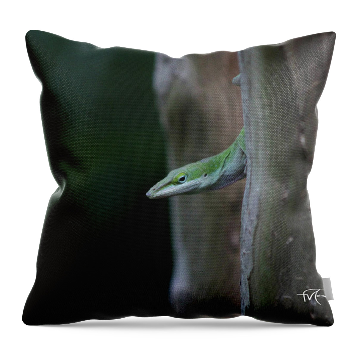 Wildlife Outdoor Images Throw Pillow featuring the photograph Lollygagging Lizard by Felipe Gomez