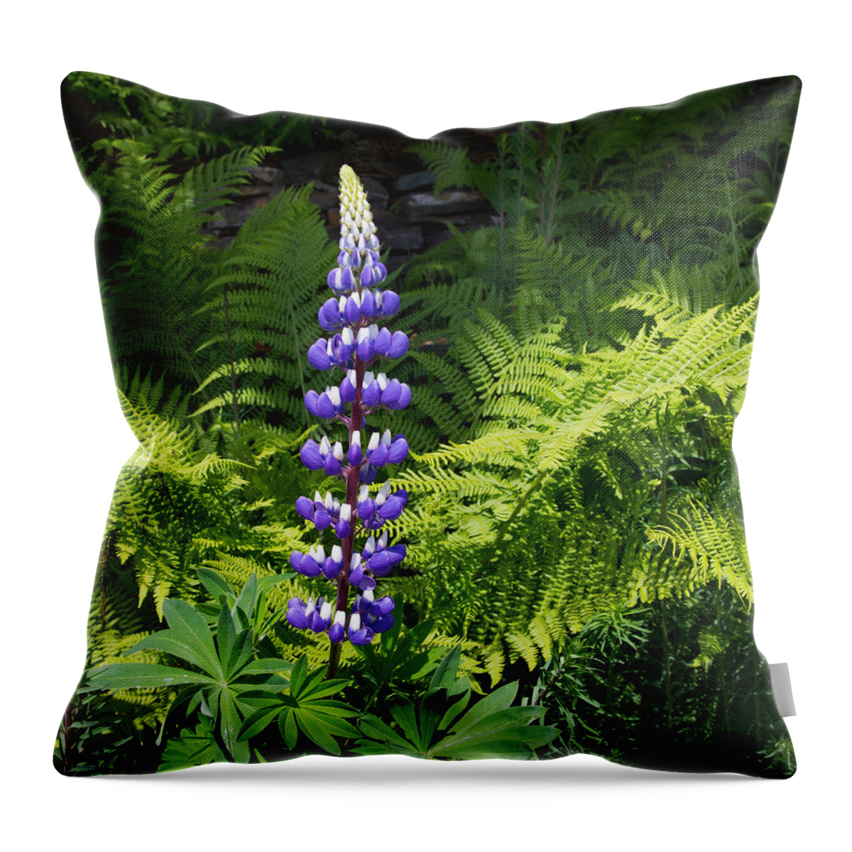 Ketchikan Throw Pillow featuring the photograph Lone Blue Lupine by Allan Levin