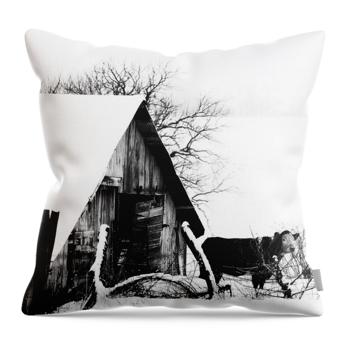 Cow Throw Pillow featuring the photograph Lone Cow in Snowstorm by Anna Louise