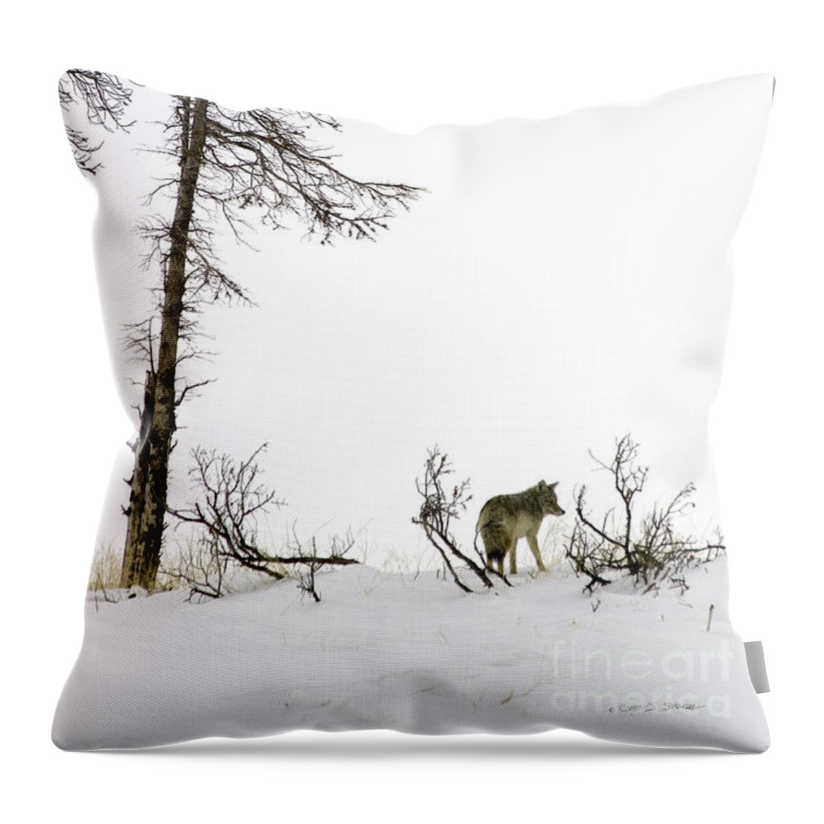 Yellowstone Throw Pillow featuring the photograph Lone Coyote by Craig J Satterlee