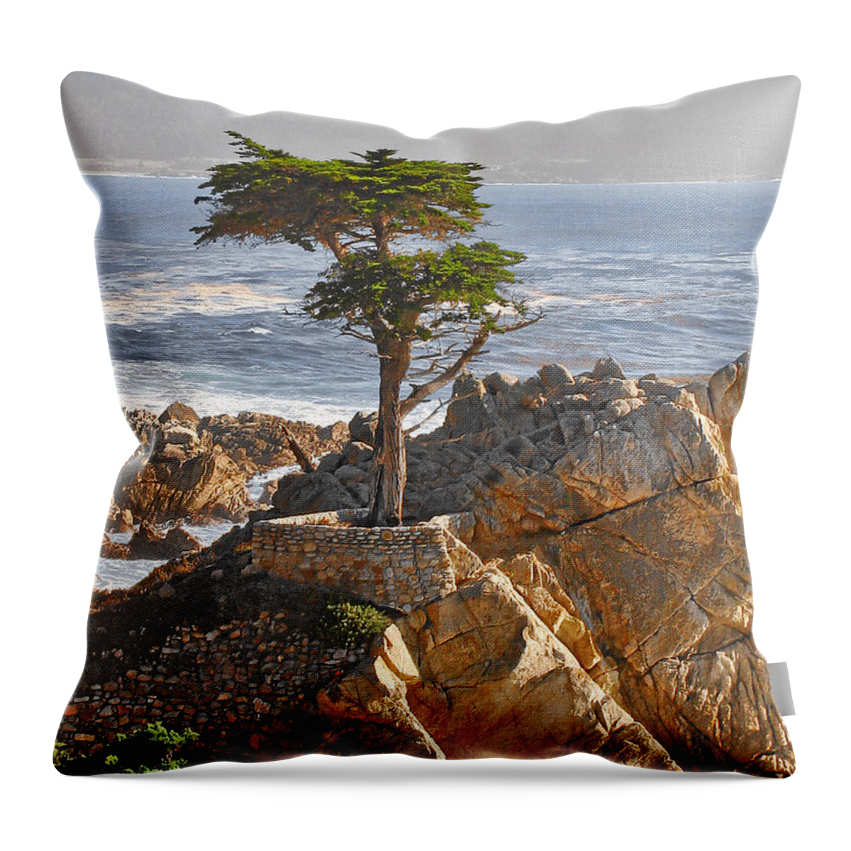 Pine Throw Pillow featuring the photograph Lone Cypress - The icon of Pebble Beach California by Alexandra Till