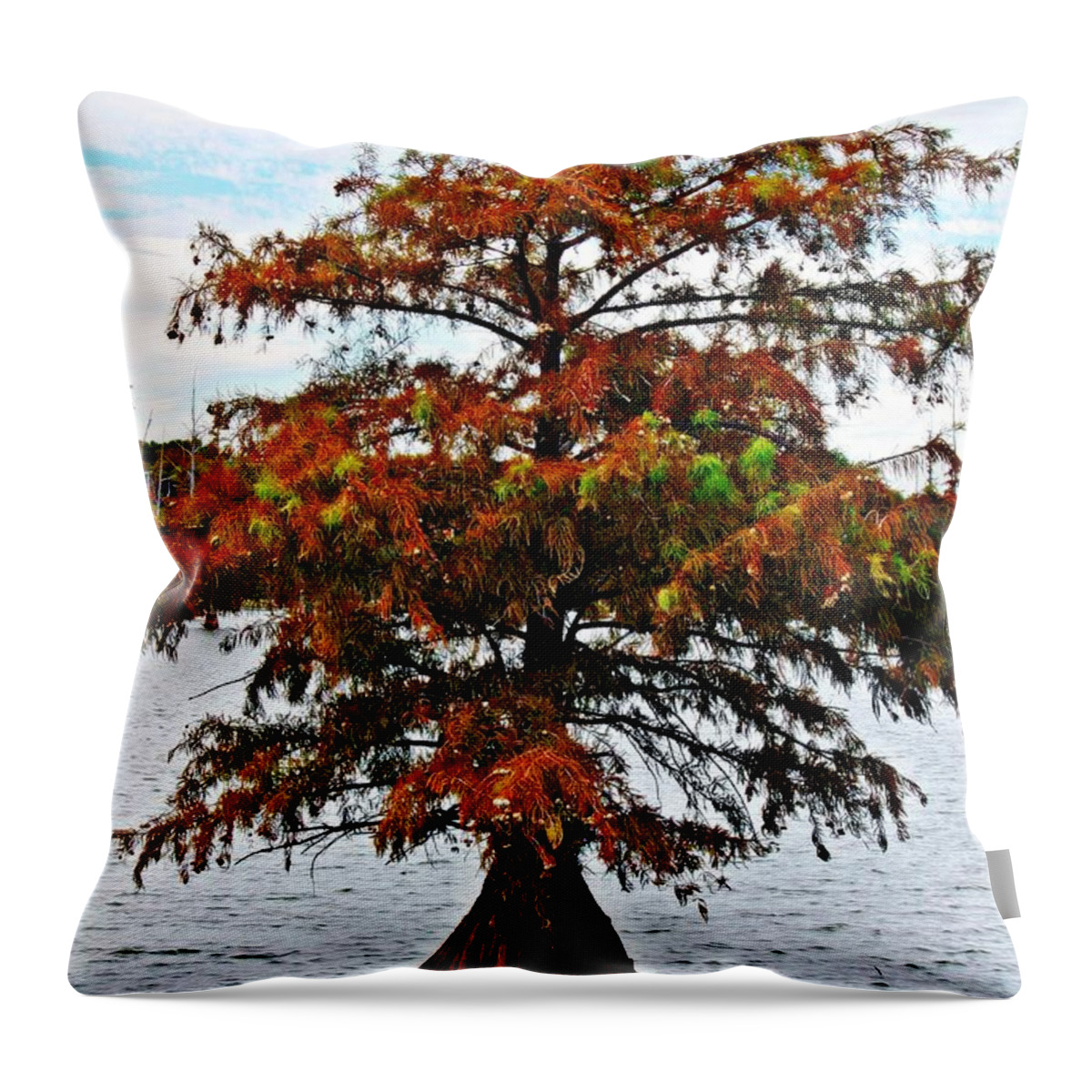 Lake Throw Pillow featuring the photograph Lone Cypress Tree by KayeCee Spain