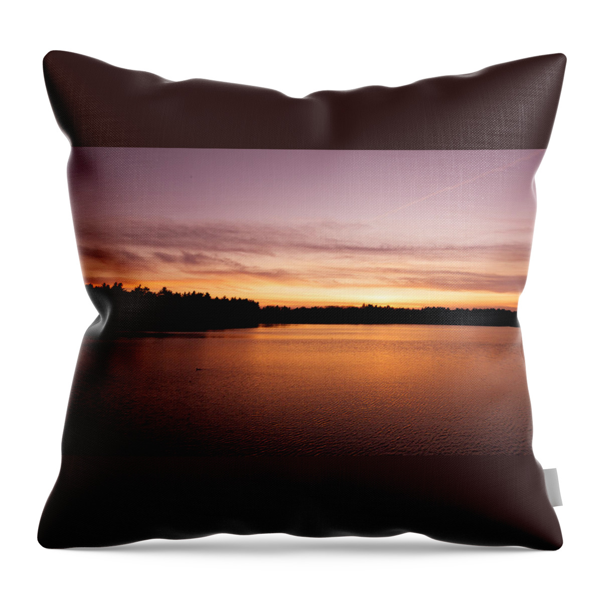 Water Throw Pillow featuring the photograph Lone Duck by Robert McKay Jones