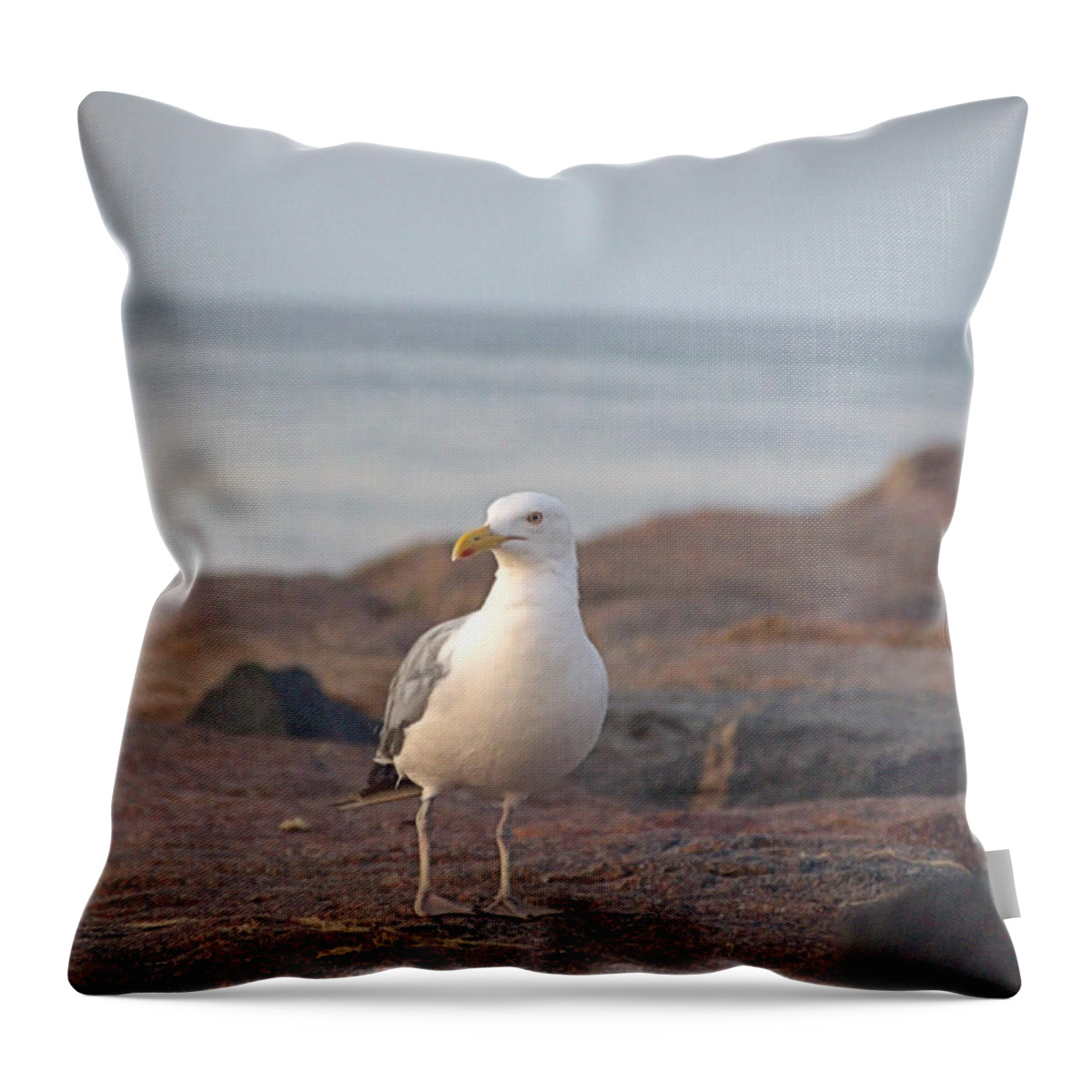Seagull Throw Pillow featuring the photograph Lone Gull by Newwwman