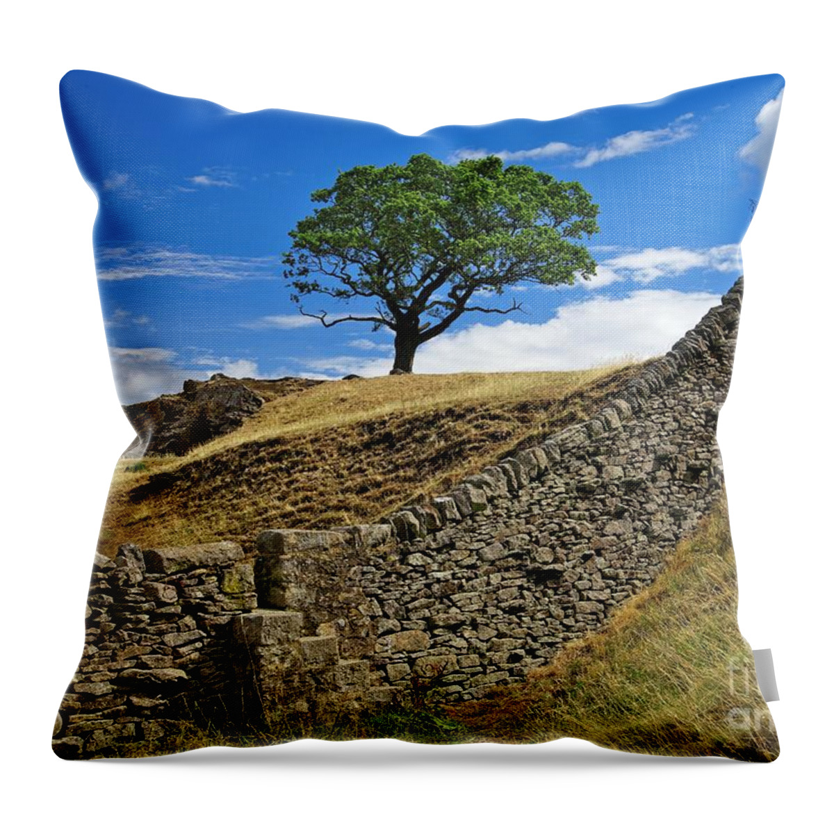 Lone Tree Throw Pillow featuring the photograph Lone Moorland Tree in Yorkshire Dales by Martyn Arnold