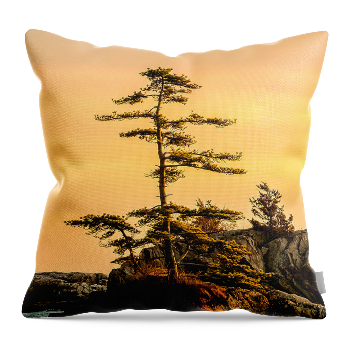Crow Island Throw Pillow featuring the photograph Lone Pine-Crow Is. by Michael Hubley