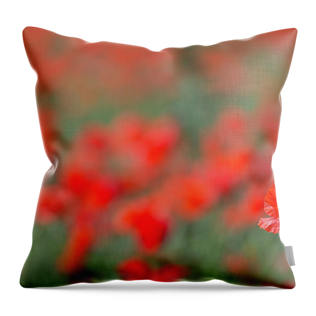 Wild Throw Pillow featuring the photograph Lone Poppy Clarity by Pete Walkden