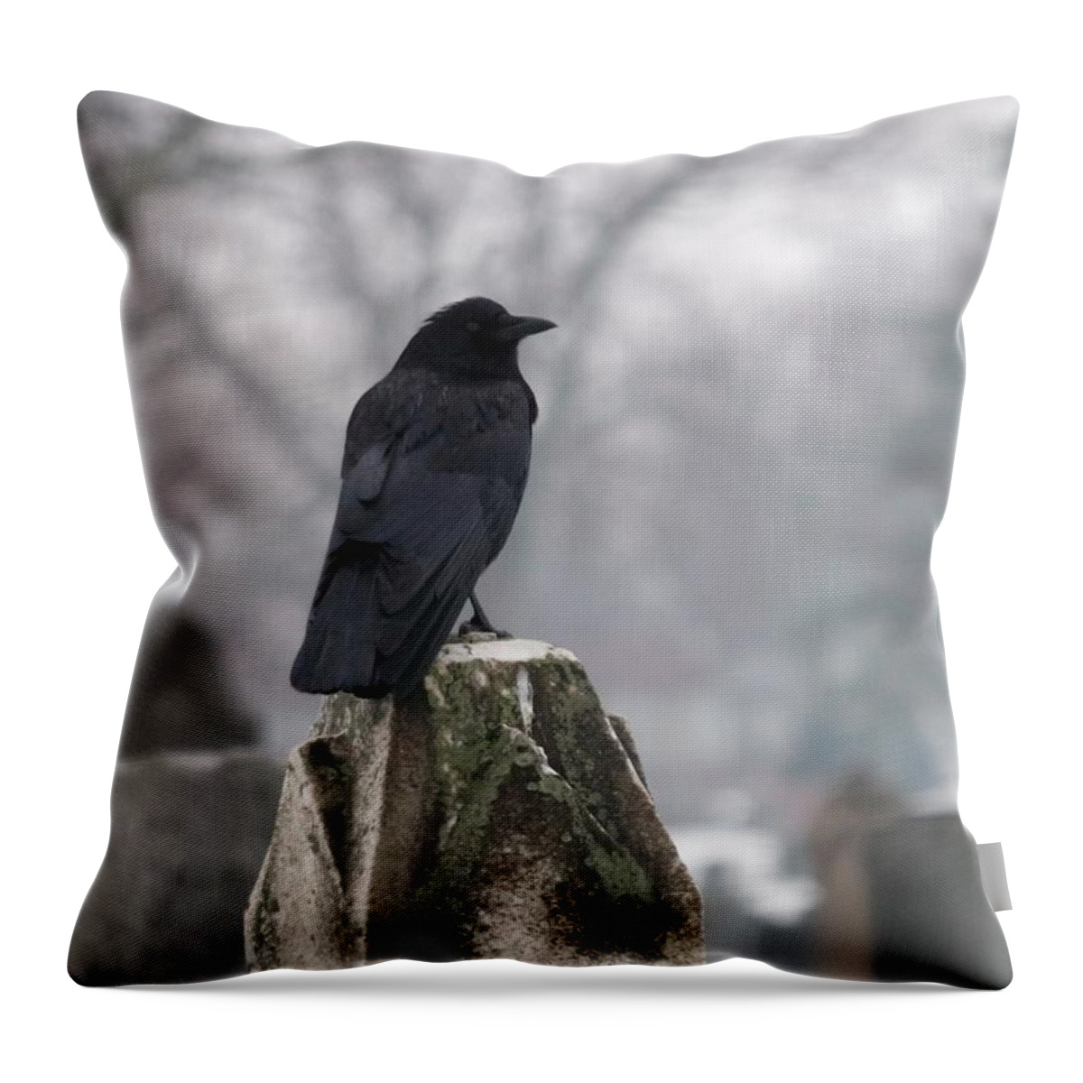 Raven Throw Pillow featuring the photograph Lone Raven On A Rainy Day by Gothicrow Images