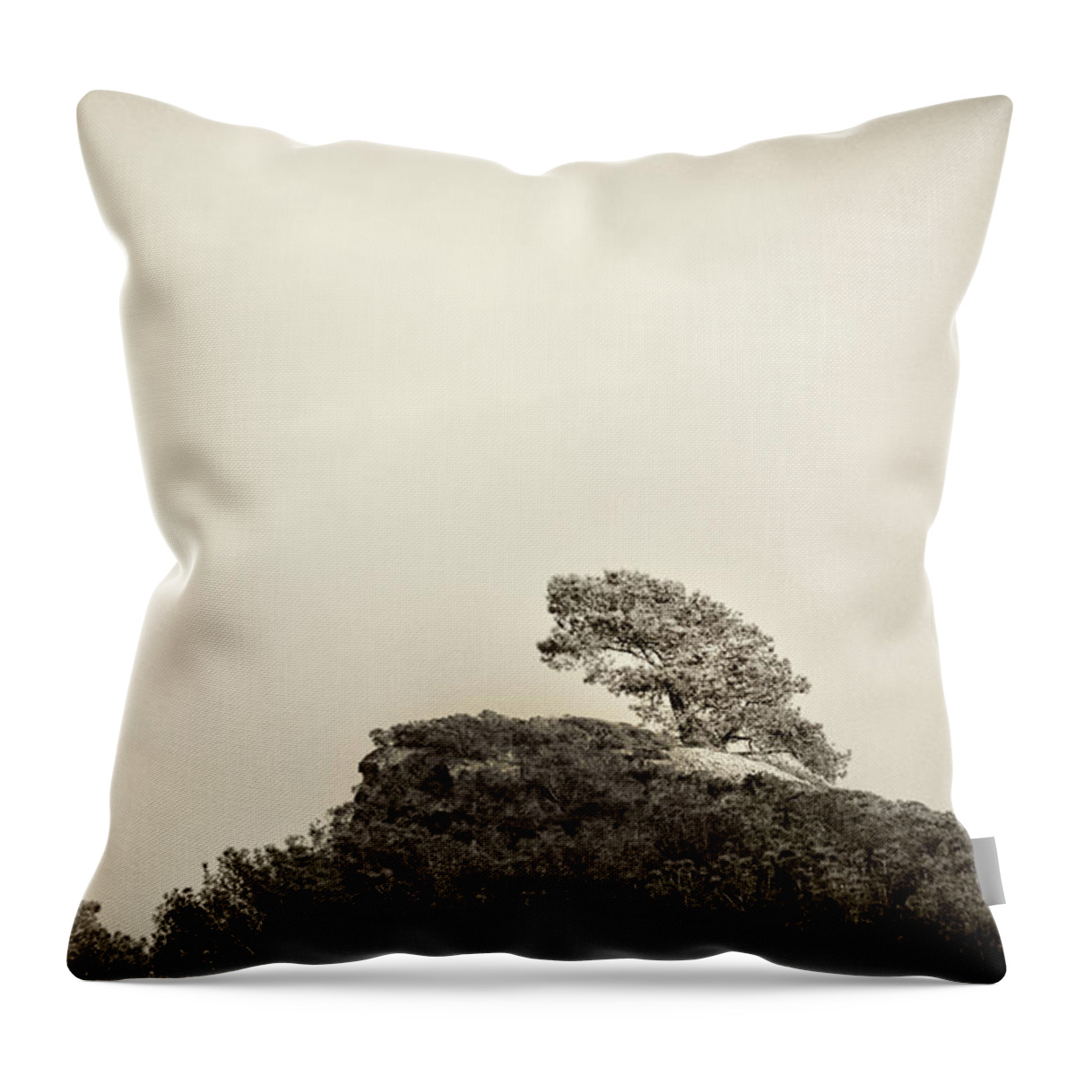 Torrey Throw Pillow featuring the photograph Lone Torrey Pine Antique by Lawrence Knutsson