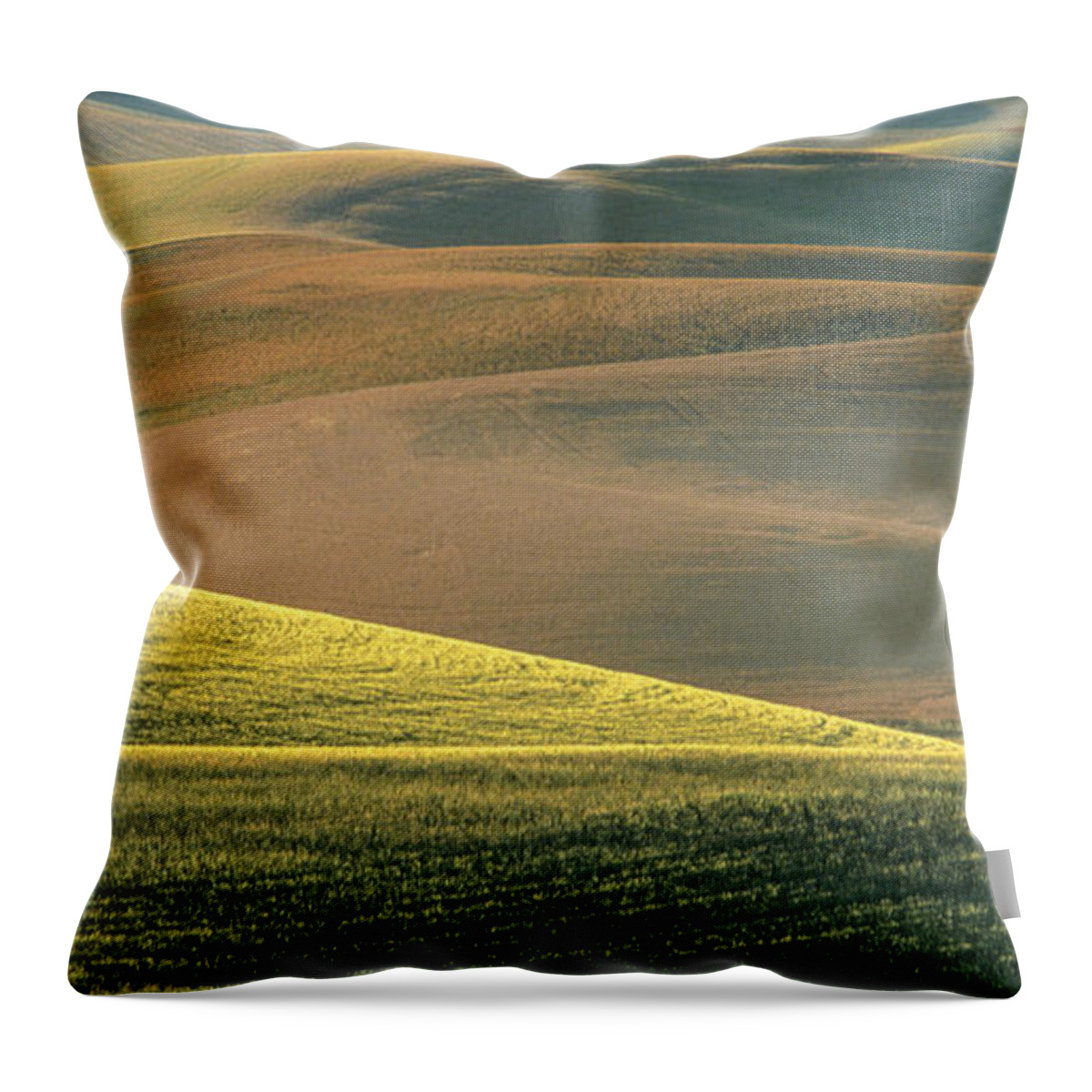 Landscape Throw Pillow featuring the photograph Lone Tree in the Palouse by Sandra Bronstein