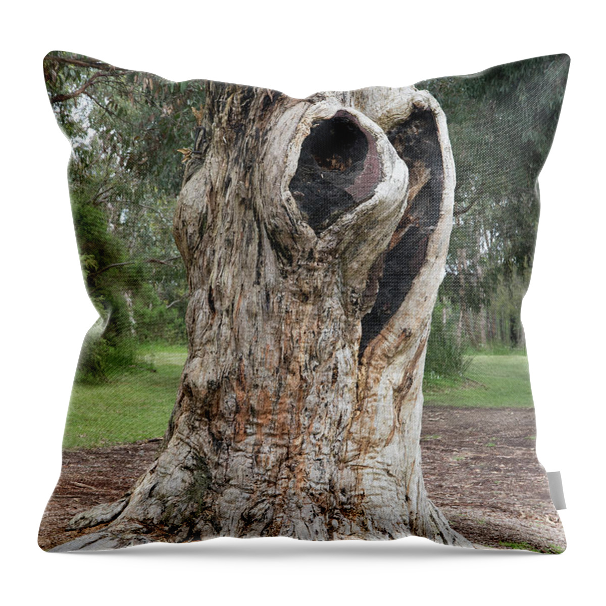 Landscape Throw Pillow featuring the photograph Lone Tree by Masami IIDA