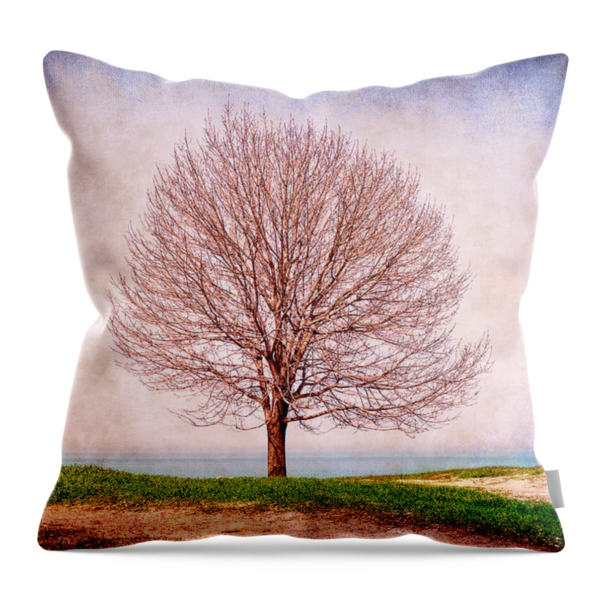 Tree Throw Pillow featuring the photograph Lone Tree by Milena Ilieva