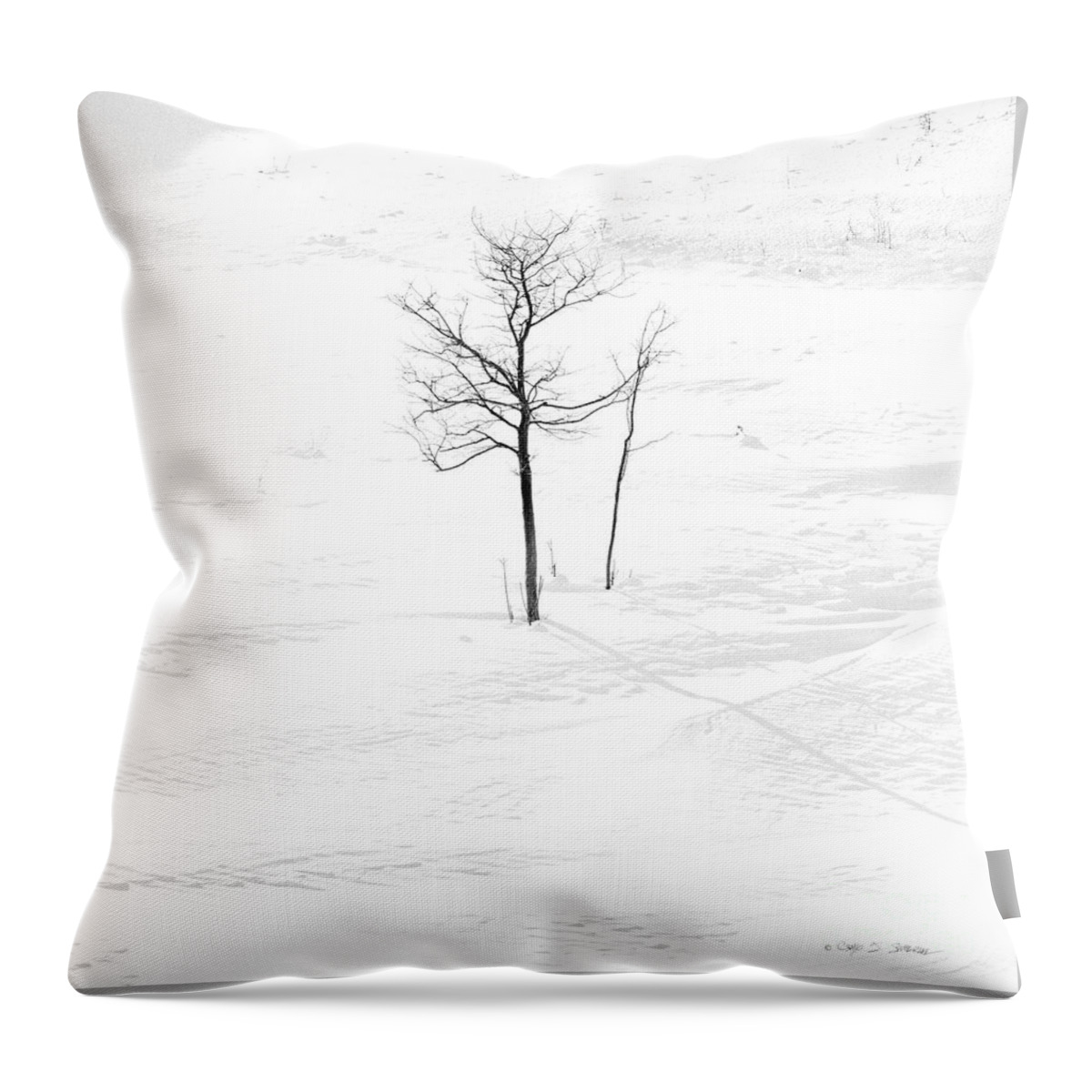 Landscape Throw Pillow featuring the photograph Lone Winter Tree by Craig J Satterlee