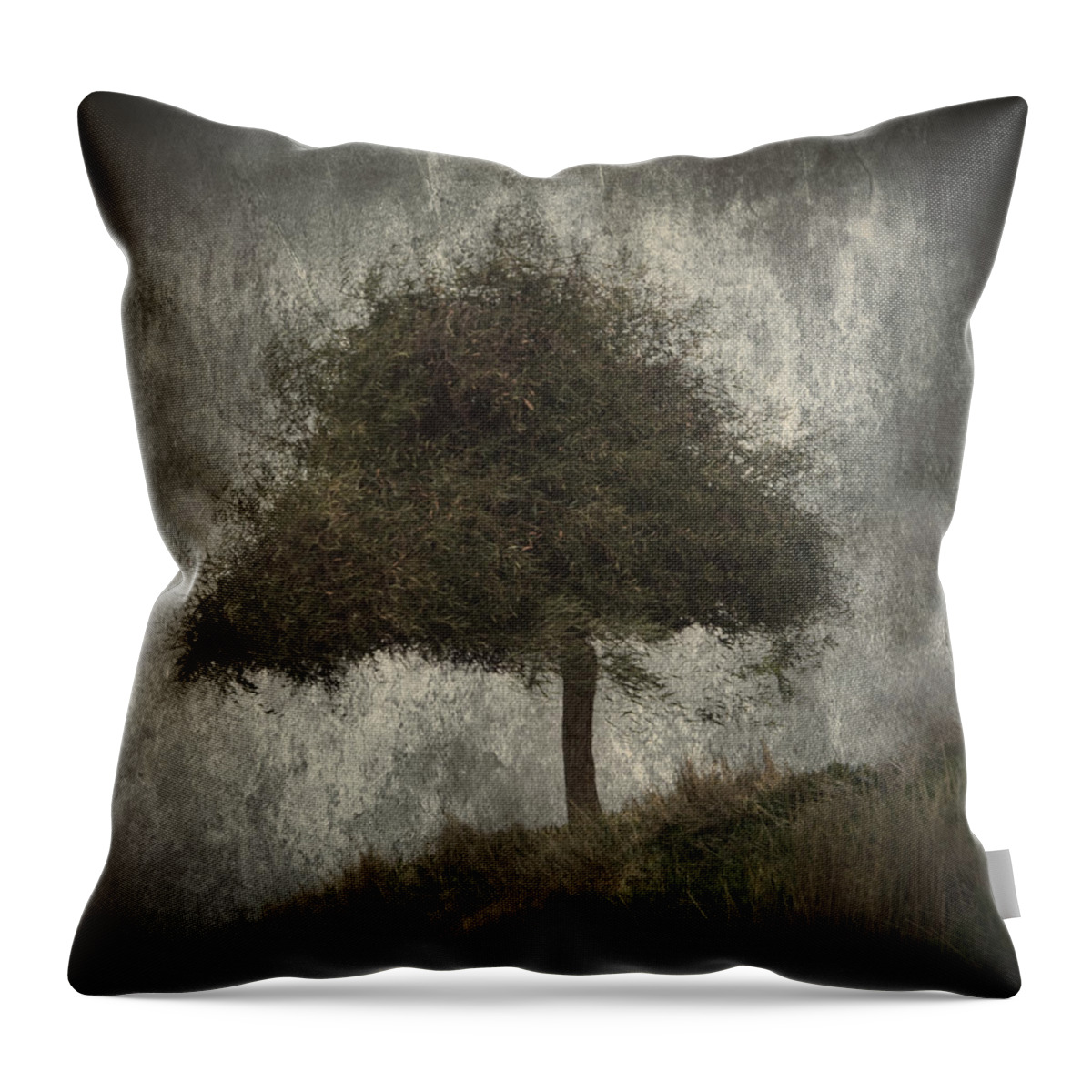 Alone Throw Pillow featuring the photograph Lonely Tree by Stelios Kleanthous