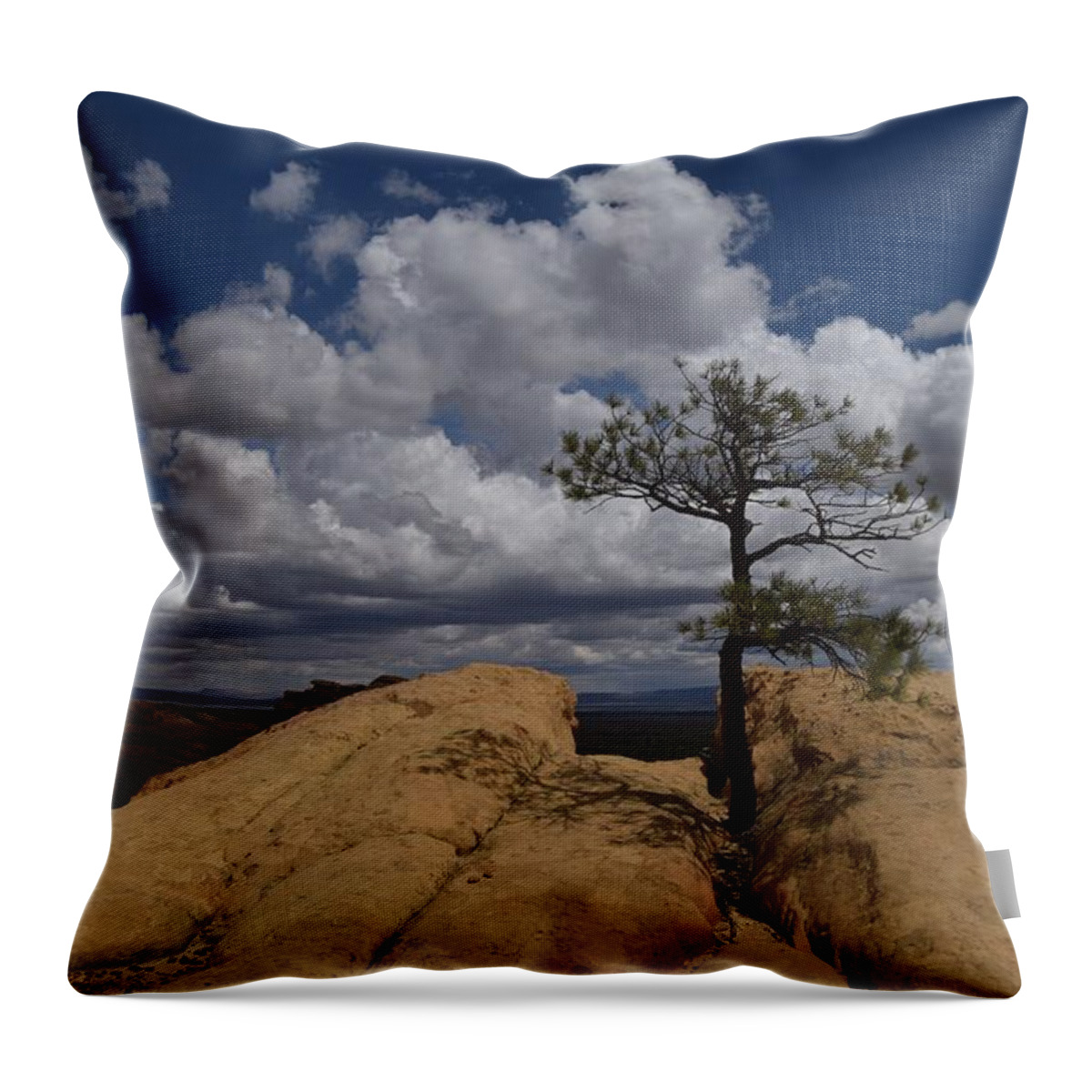 El Malpais Throw Pillow featuring the photograph Lonesome by Jim Bennight