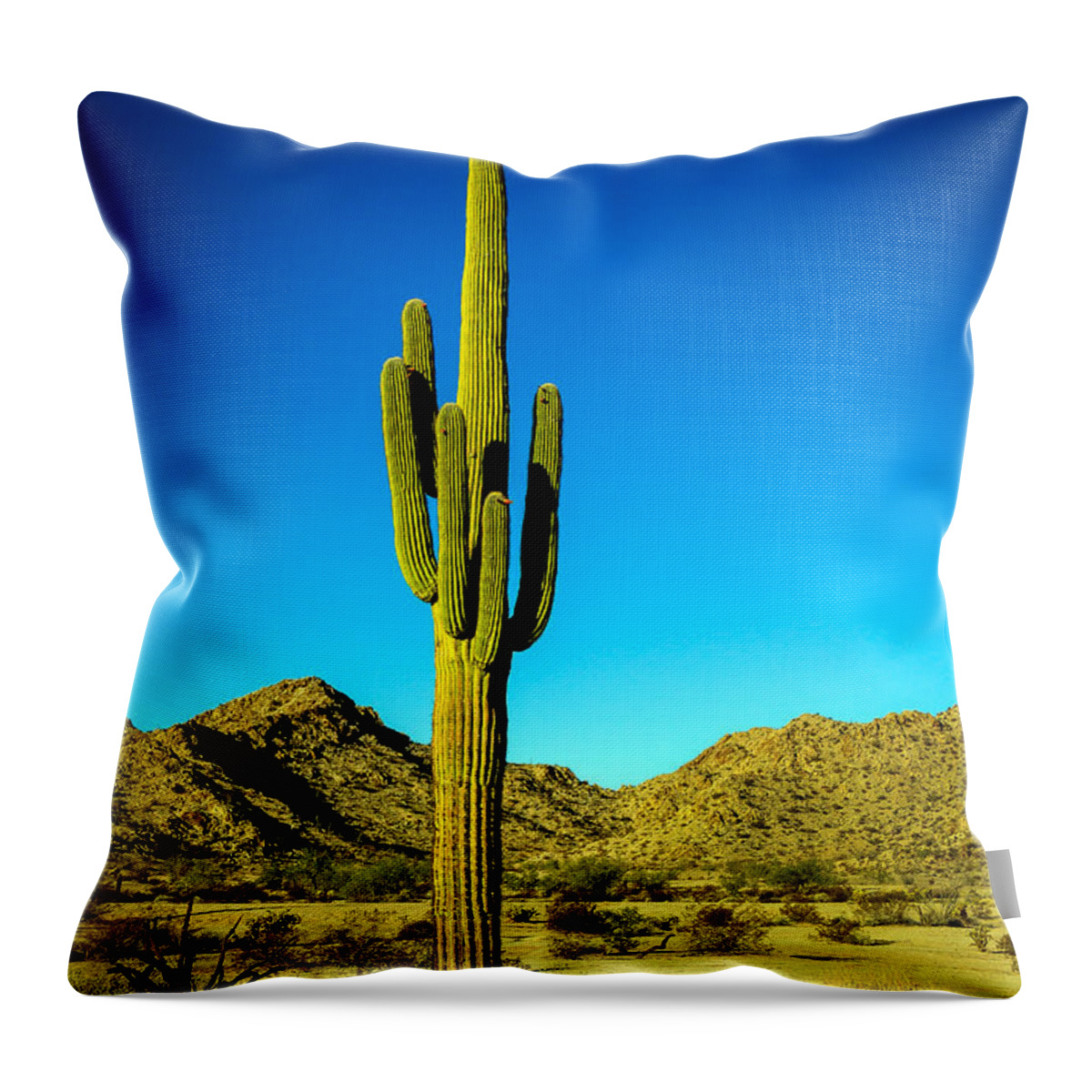Cactus Throw Pillow featuring the photograph Lonesome Saguaro by Robert Bales