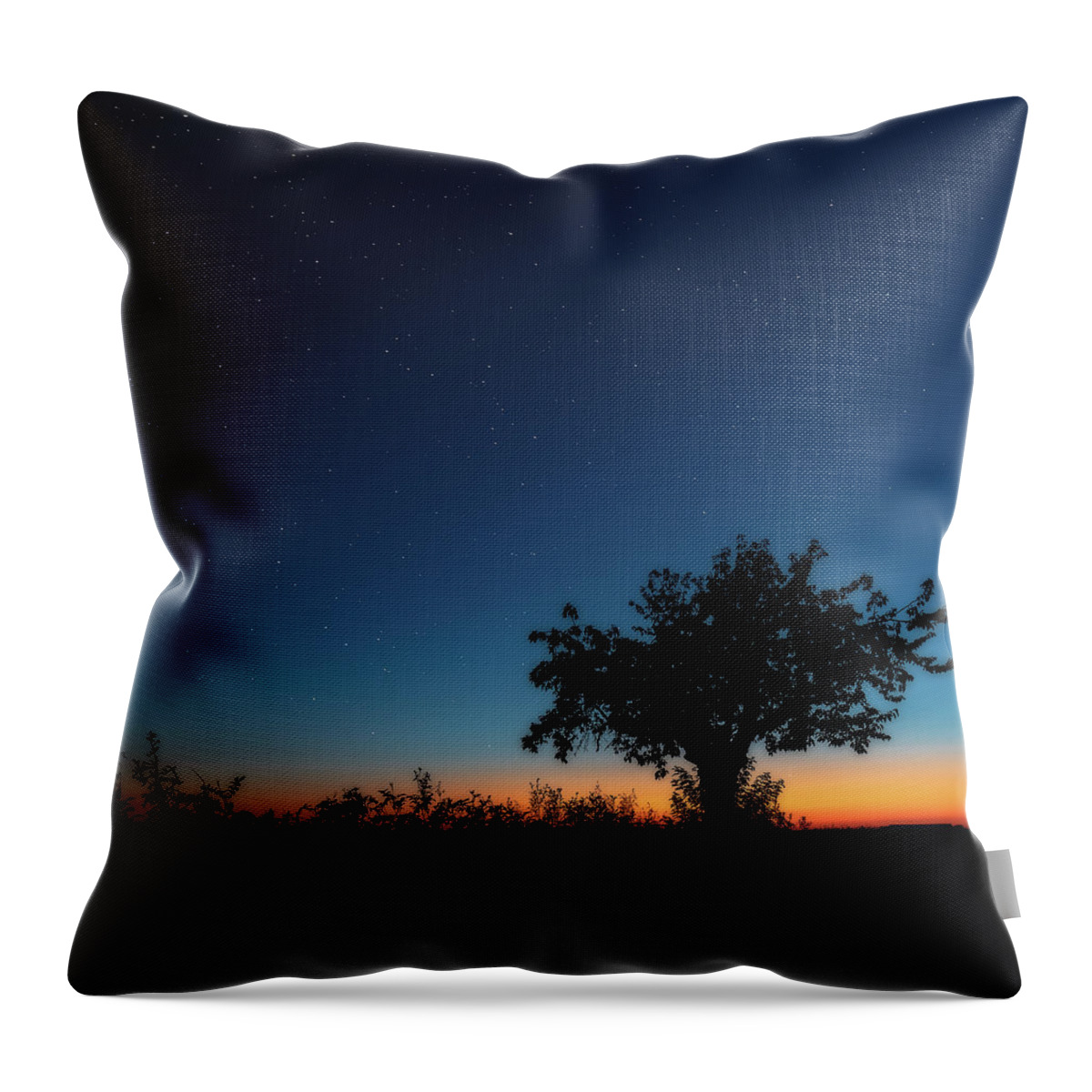 Tree Throw Pillow featuring the photograph Lonesome Tree by Marc Braner