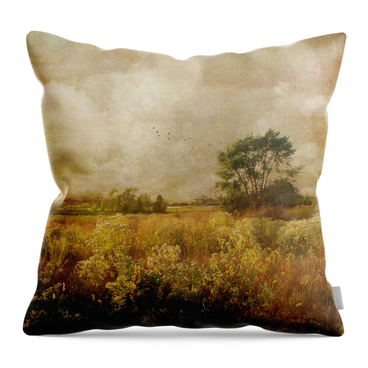 Field Throw Pillow featuring the photograph Long ago and far away by John Rivera