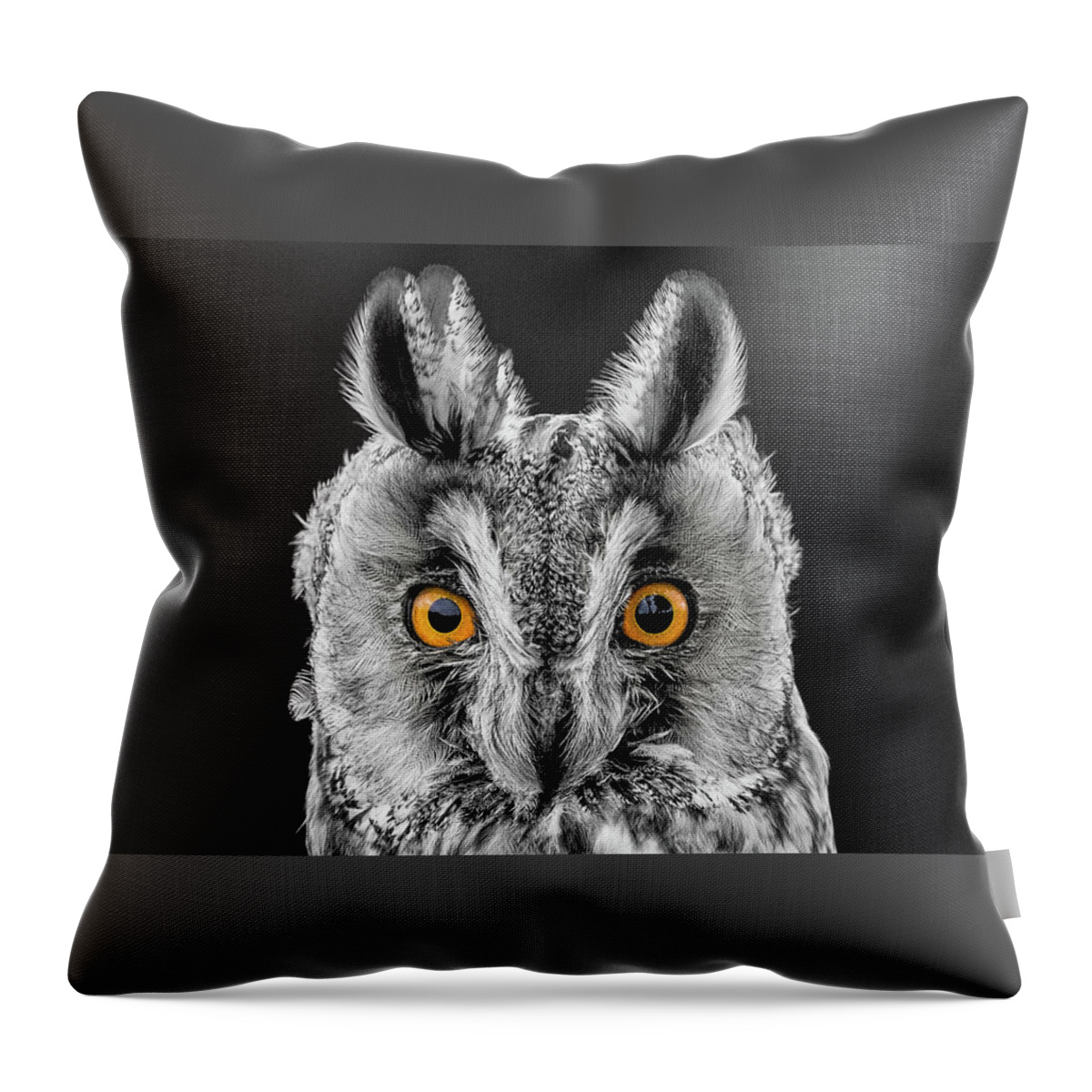 Long Eared Owl Throw Pillow featuring the photograph Long Eared Owl 2 by Nigel R Bell