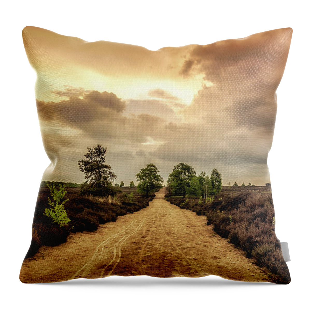 Gelderland Throw Pillow featuring the photograph Long road ahead by Tim Abeln