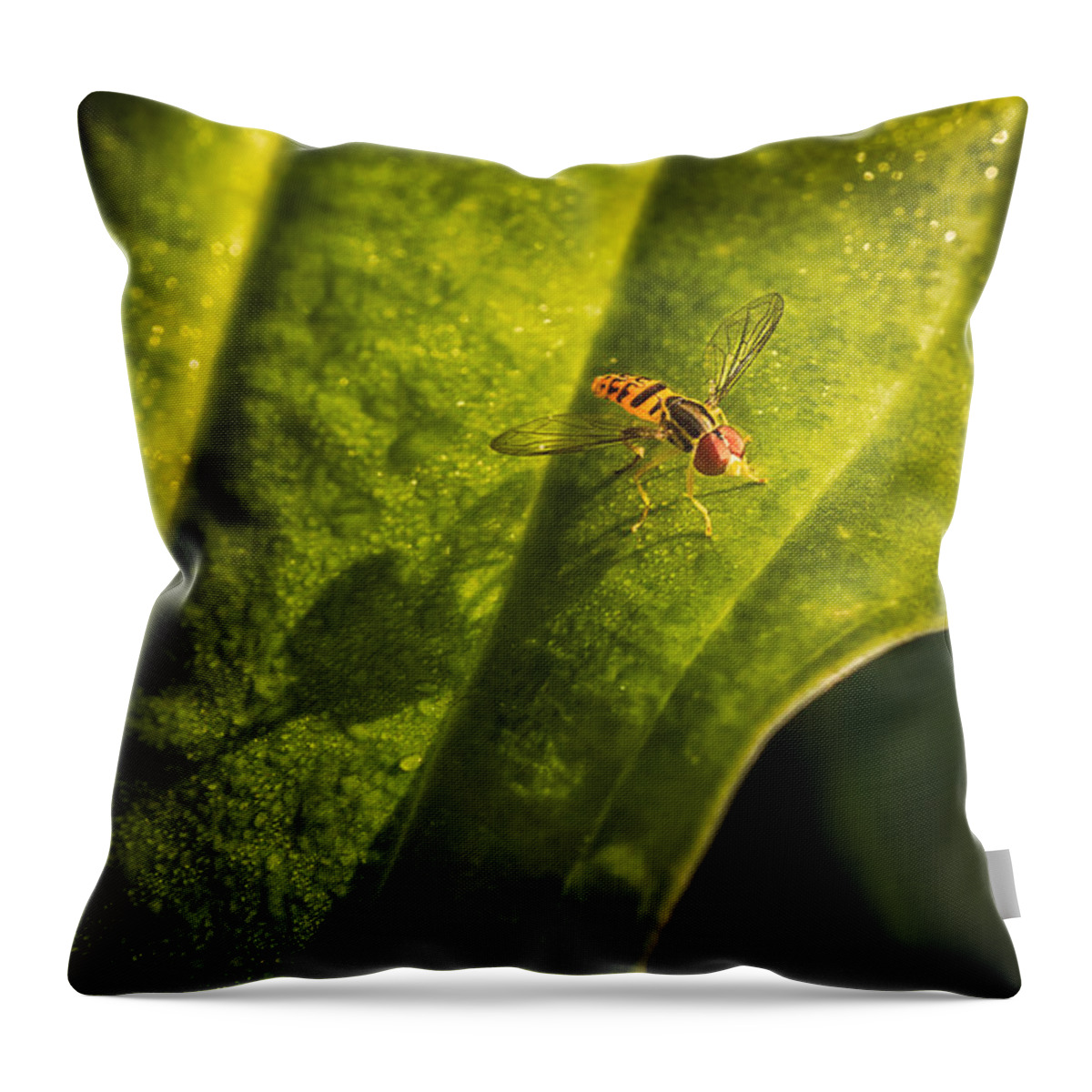 Animals Throw Pillow featuring the photograph Long Shadow by Rikk Flohr