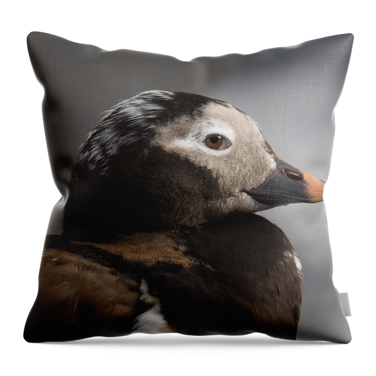 Alaska Throw Pillow featuring the photograph Long-Tailed Stare by Ian Johnson