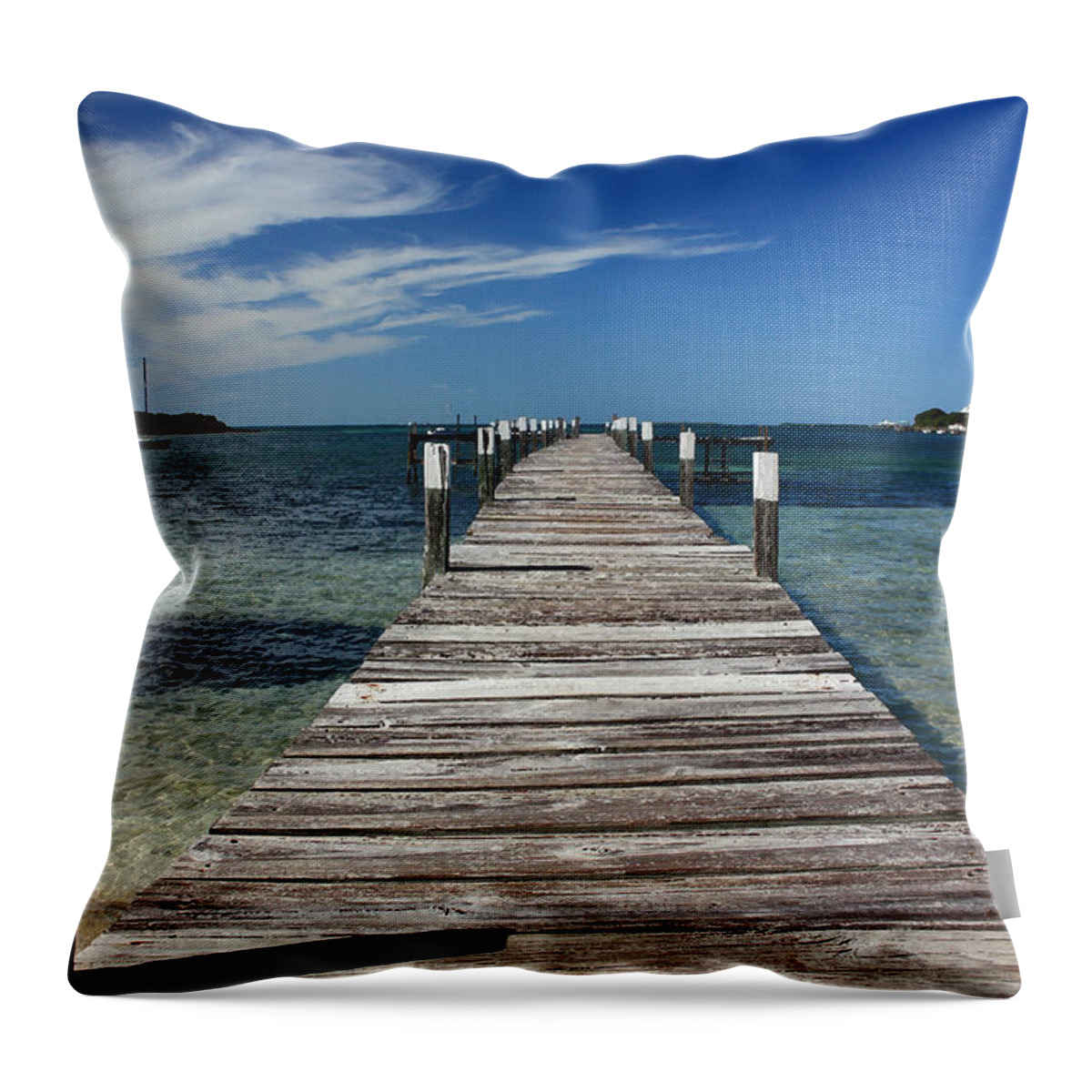 Landscape Throw Pillow featuring the photograph Long Walk by Mary Haber