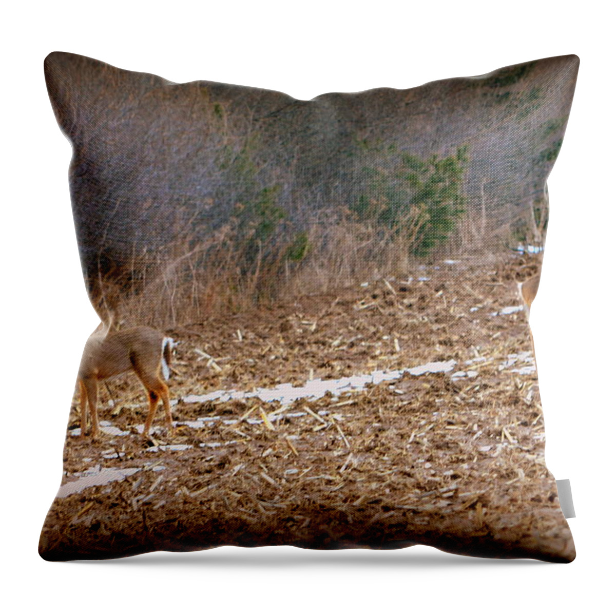 Winter Throw Pillow featuring the photograph Long Winter by Kimberly Woyak