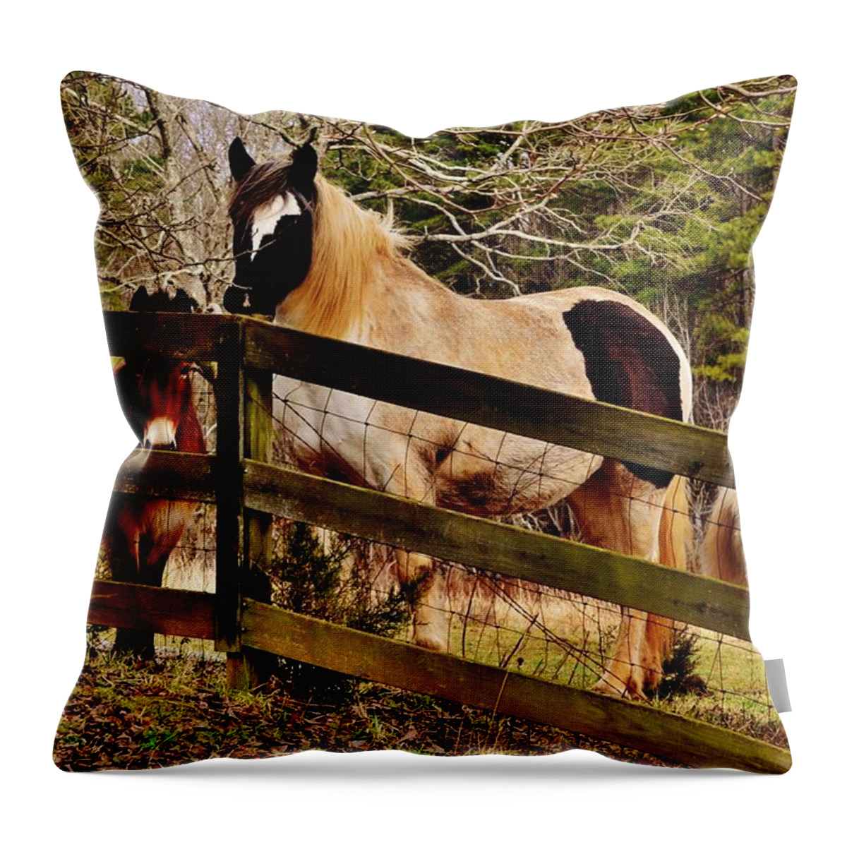 Horses Throw Pillow featuring the photograph Look At Me by Eileen Brymer