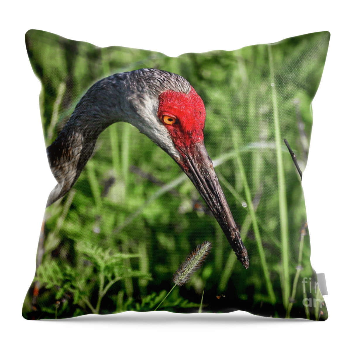 Crane Throw Pillow featuring the photograph Look Down Crane by Tom Claud