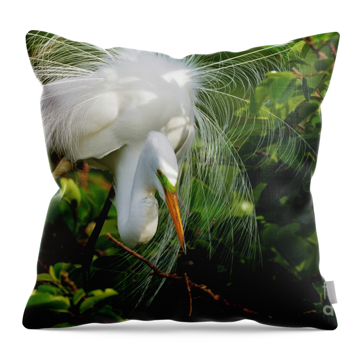 Great White Heron Throw Pillow featuring the photograph Look Out Below by Julie Adair
