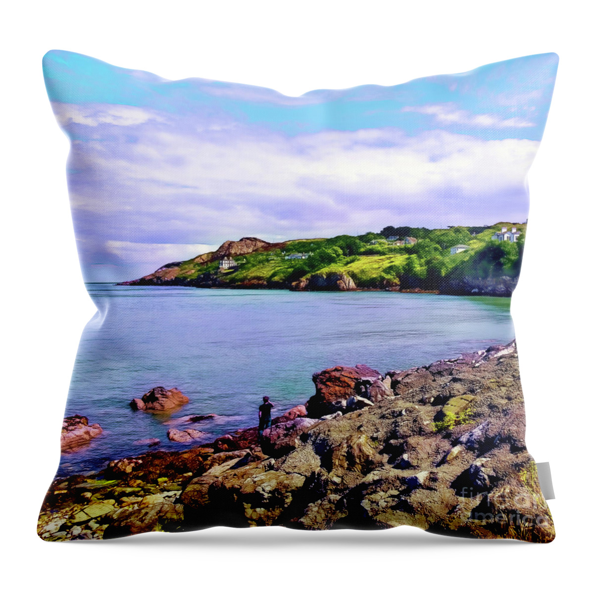  Throw Pillow featuring the photograph Looking Across by Judi Bagwell