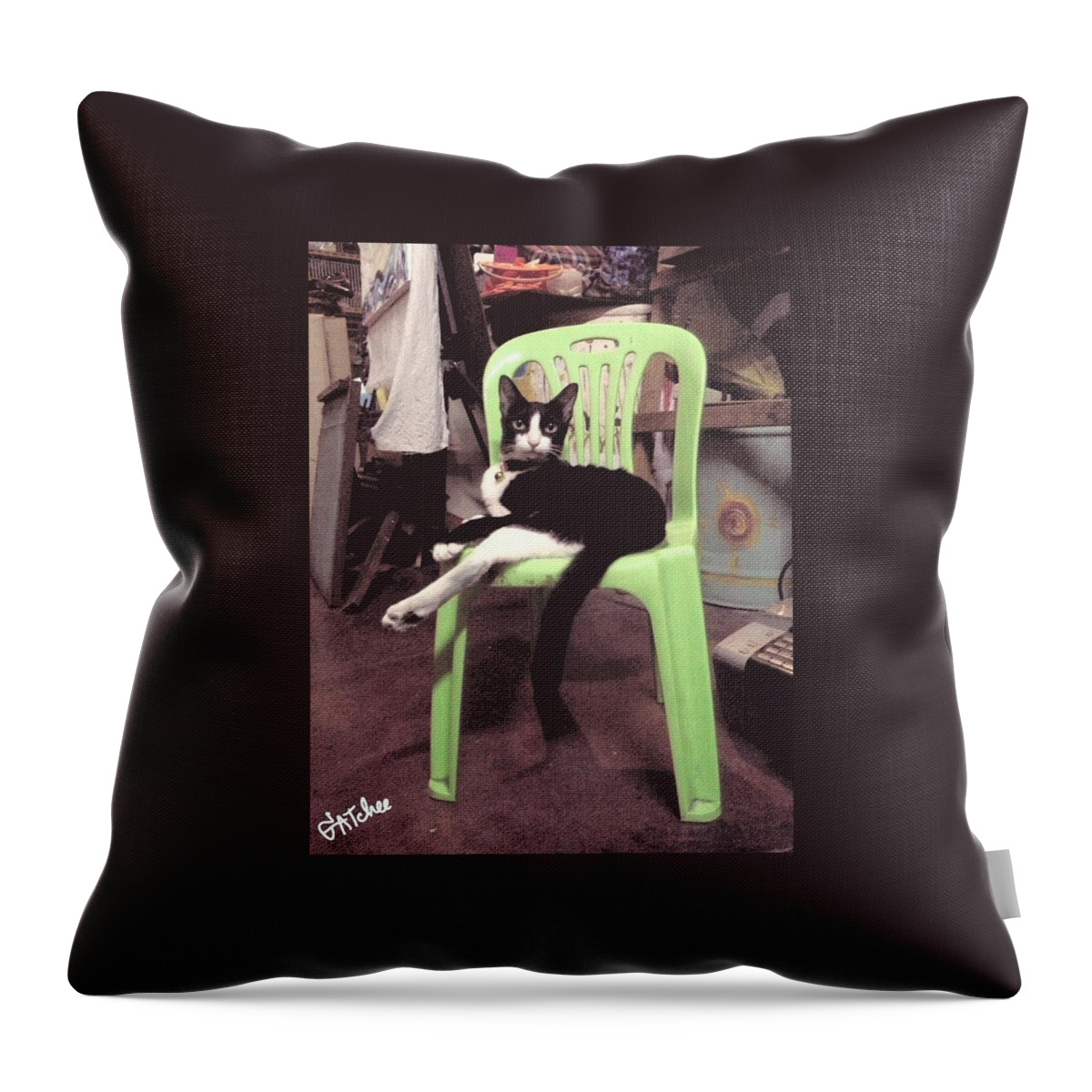 Gatchee Throw Pillow featuring the photograph Looking At Me by Sukalya Chearanantana