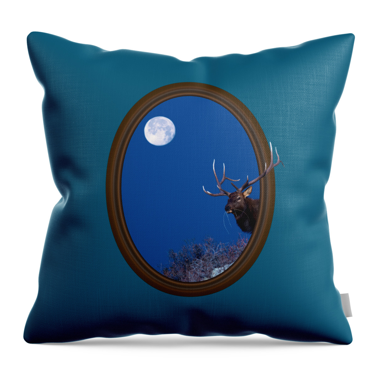 Elk Throw Pillow featuring the photograph Looking Beyond by Shane Bechler