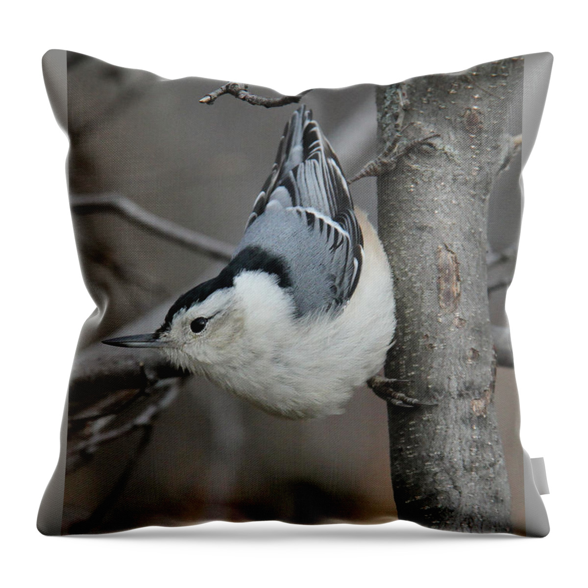Bird Throw Pillow featuring the photograph Looking For Seeds by Doris Potter
