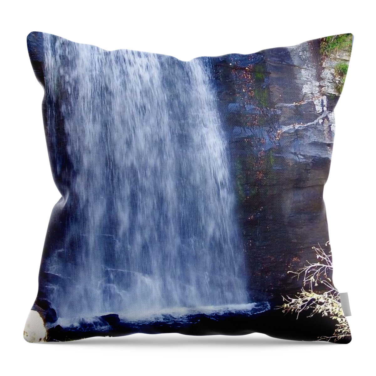 Forest Throw Pillow featuring the photograph Looking Glass Falls 2016 by Cathy Harper