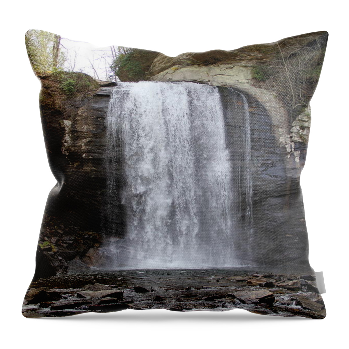 Waterfalls Throw Pillow featuring the photograph Looking Glass Falls front view by Allen Nice-Webb