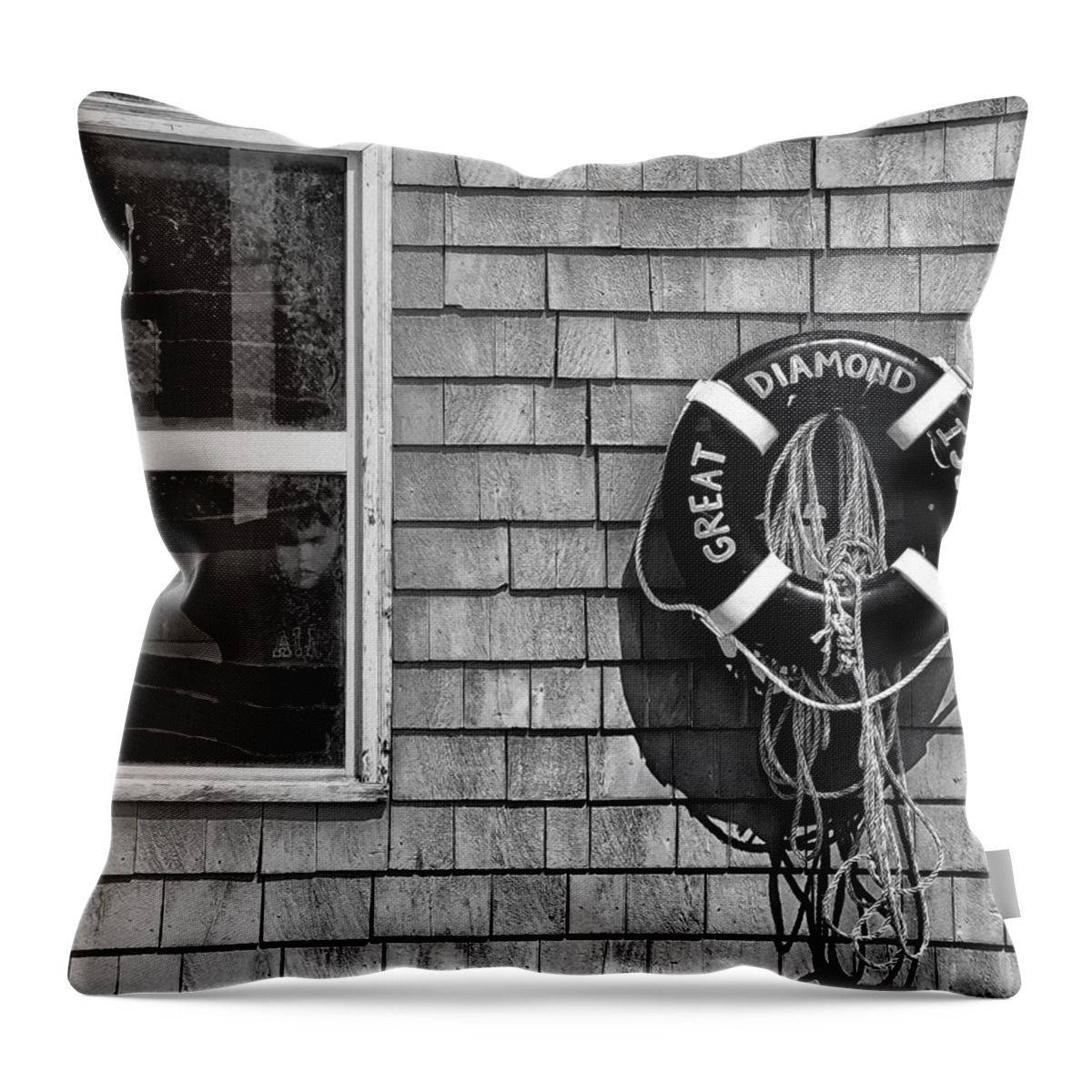 Bay Throw Pillow featuring the photograph Looking In - Looking Out by Richard Bean