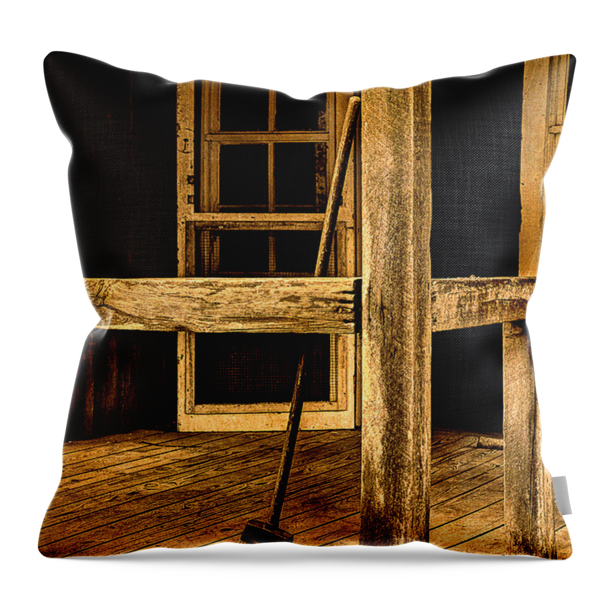 Abandoned Home Throw Pillow featuring the photograph Looking Into A Faded Memory by Michael Eingle