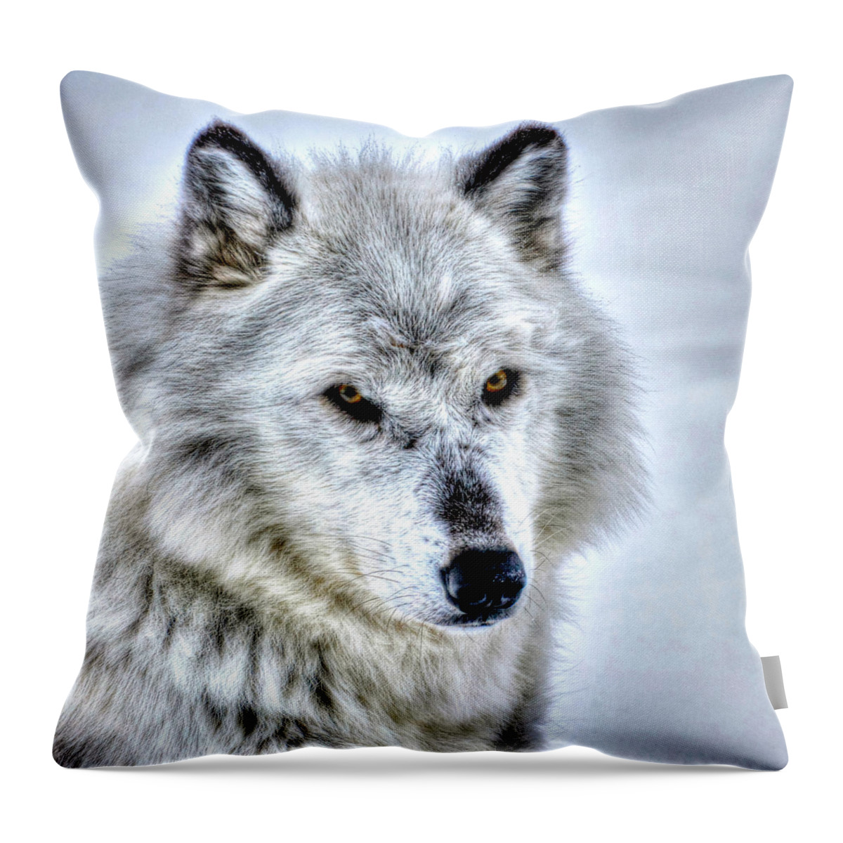 Wolf Throw Pillow featuring the photograph Looking Pretty by Don Mercer